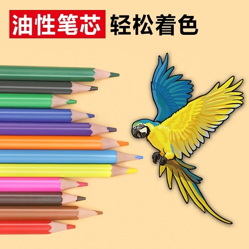 Back to School Eco friendly wood-free plastic 12 Color pencil Back to School Eco friendly wood-free plastic 12 Color pencil